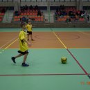 turmikol 30